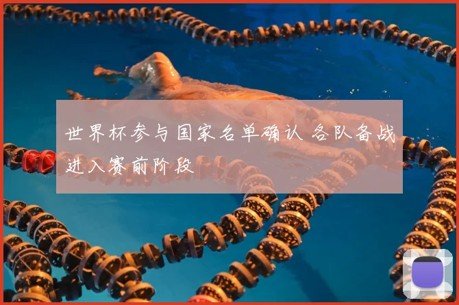 世界杯参与国家名单确认 各队备战进入赛前阶段